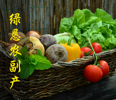 热烈祝贺绿恳农副产品公司网站改版成功！